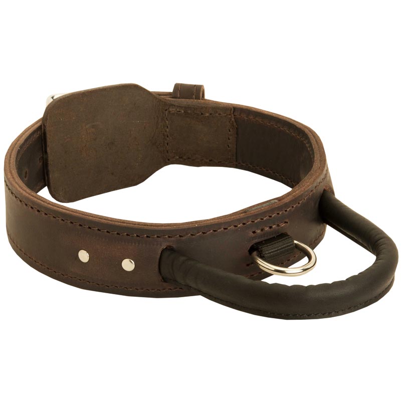 Extra Durable Leather Schutzhund Dog Collar with Handle for Attack Training