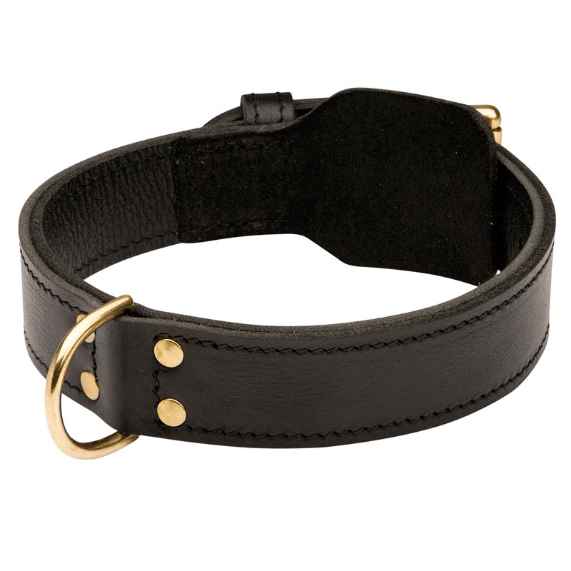 Training 2 Ply Leather Schutzhund Dog Collar
