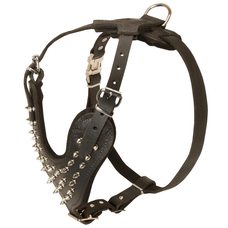 Spiked Leather Dog Harness for Fashionable Walking