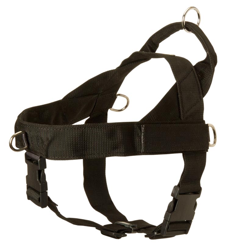Nylon Schutzhund Dog Harness with Patches