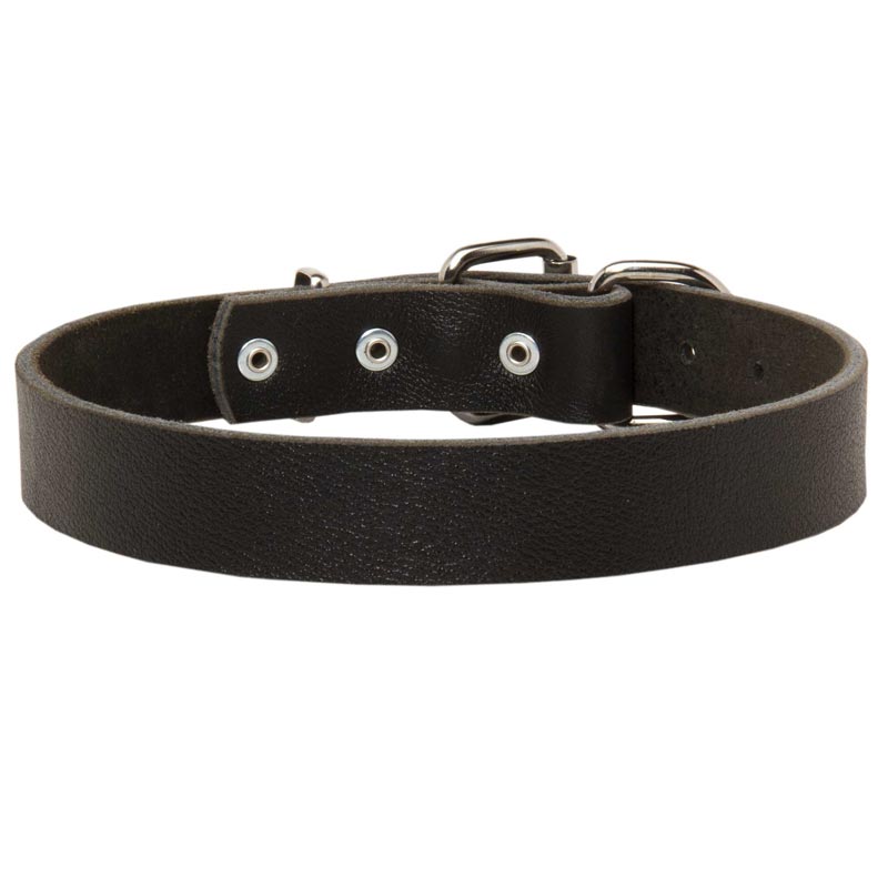 Leather Schutzhund Dog Collar For Pleasant Wearing