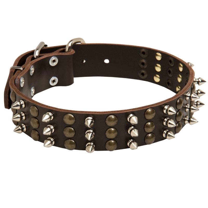 Schutzhund Dog Spikes and Studs Rows Leather Dog Collar