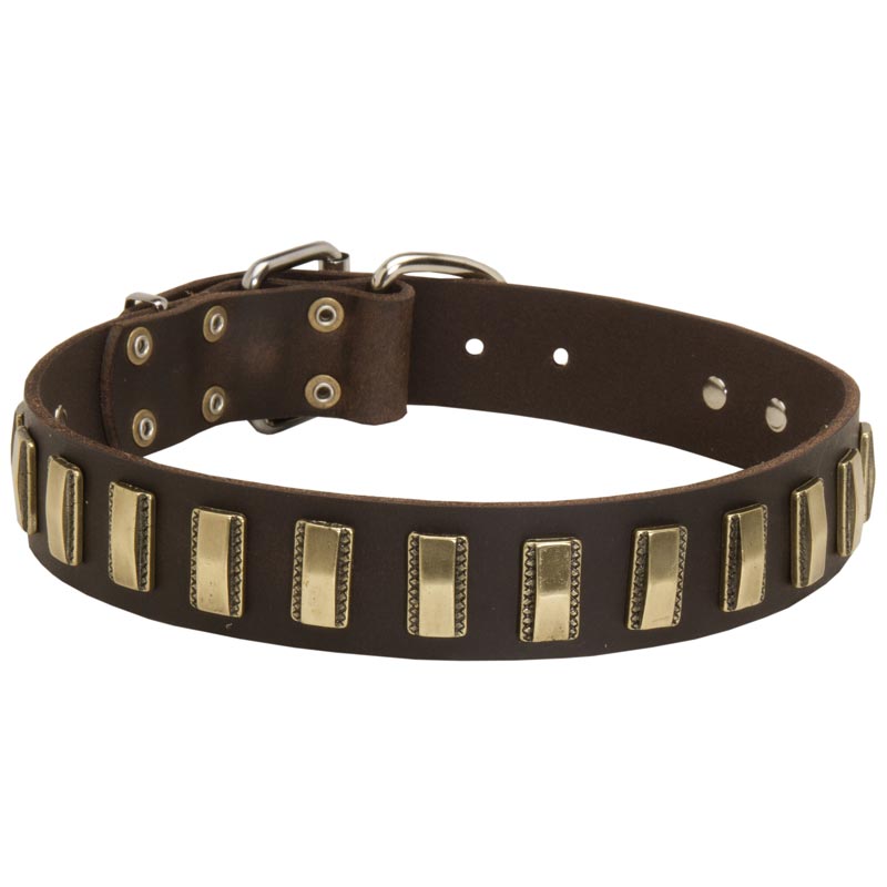 Leather Schutzhund Dog Collar with Awesome Brass Plates