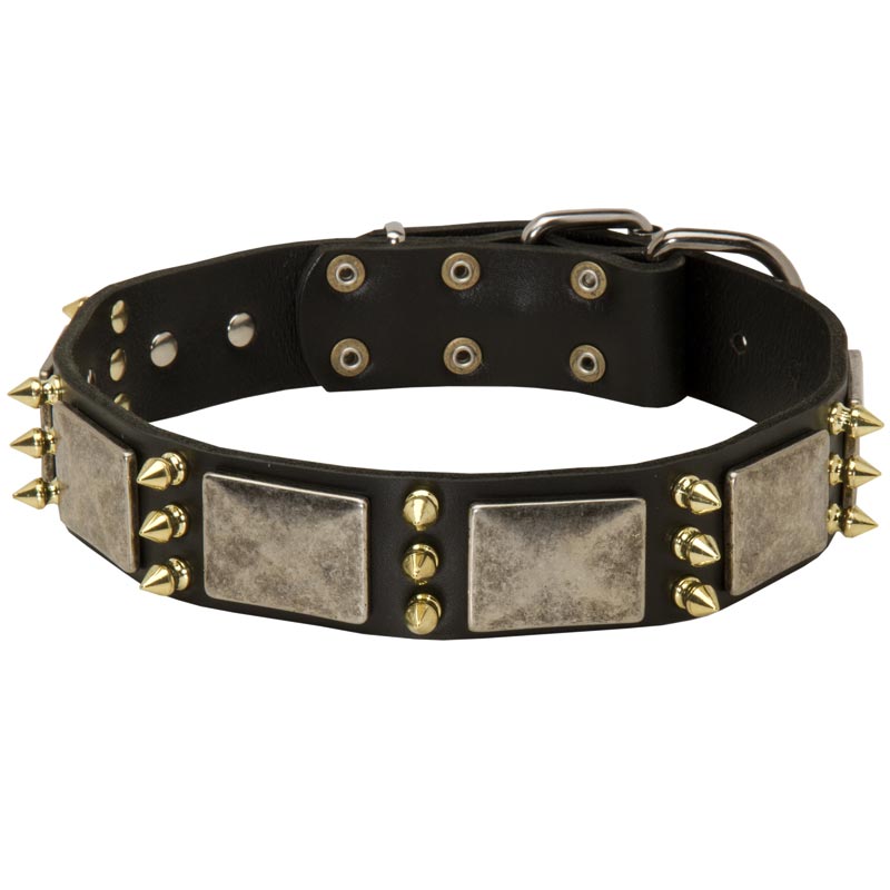 Spiked Leather Schutzhund Dog Collar with Nickel Plates