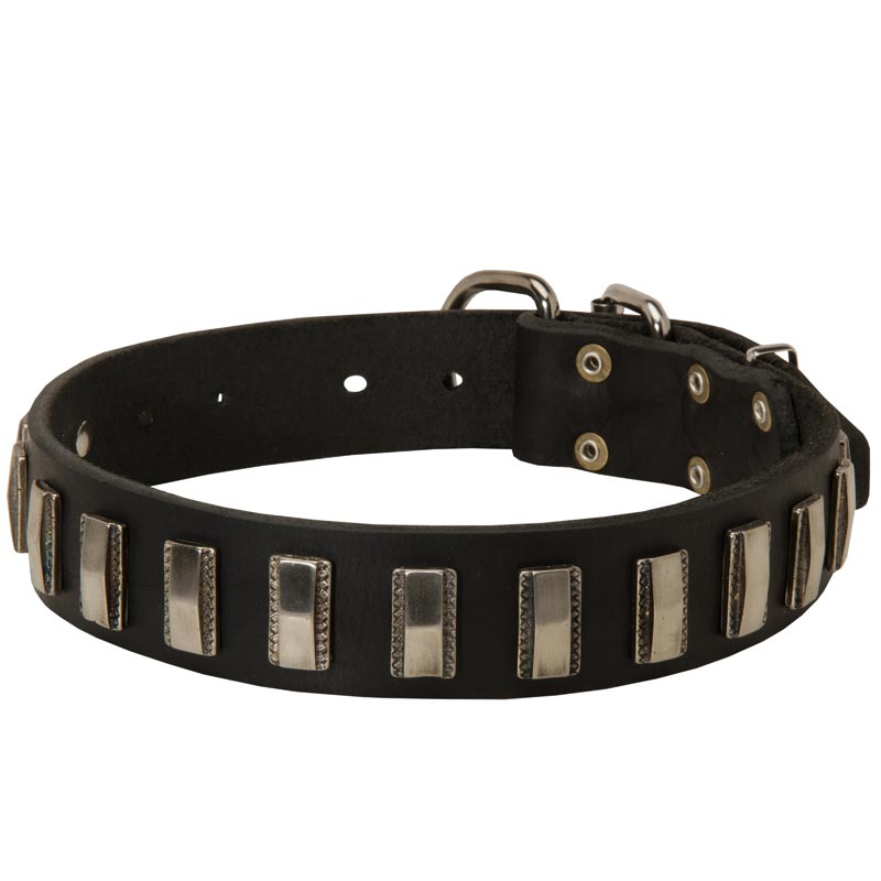 Leather Schutzhund Dog Collar with Shiny Plates