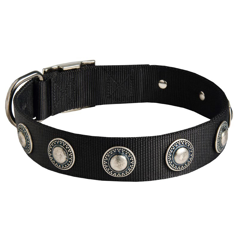 Nylon Schutzhund Dog Collar with Circles Decoration