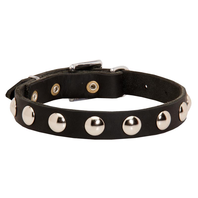 Beautiful Leather Schutzhund Dog Collar Decorated with Half-Ball Studs
