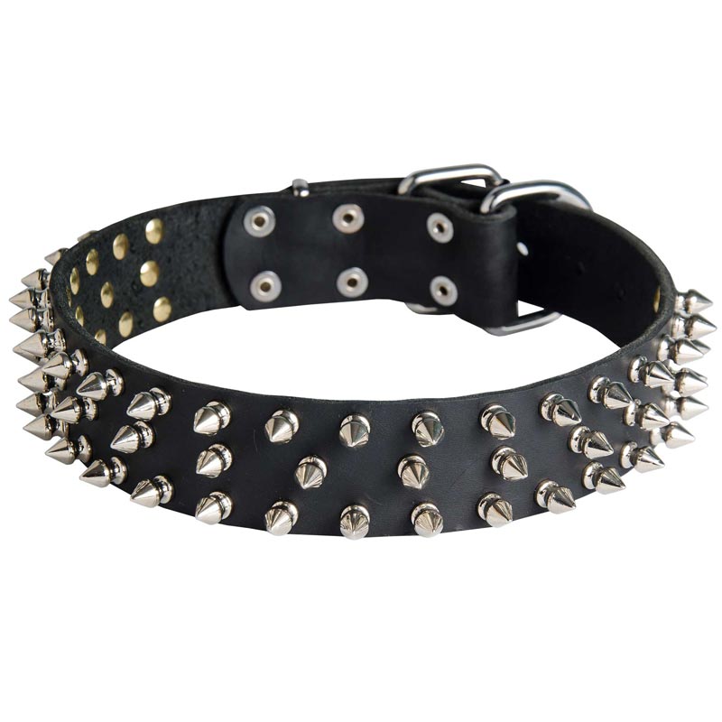 Leather Schutzhund Dog Collar with 3 Rows of Nickel Spikes