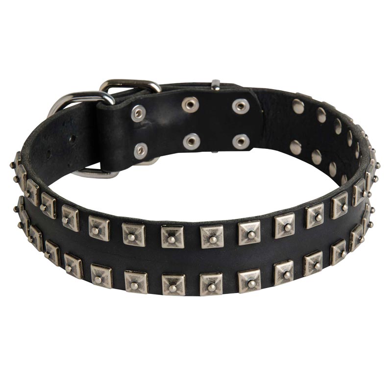 New Leather Schutzhund Dog Collar - Fashion Exclusive Design - "Caterpillar"