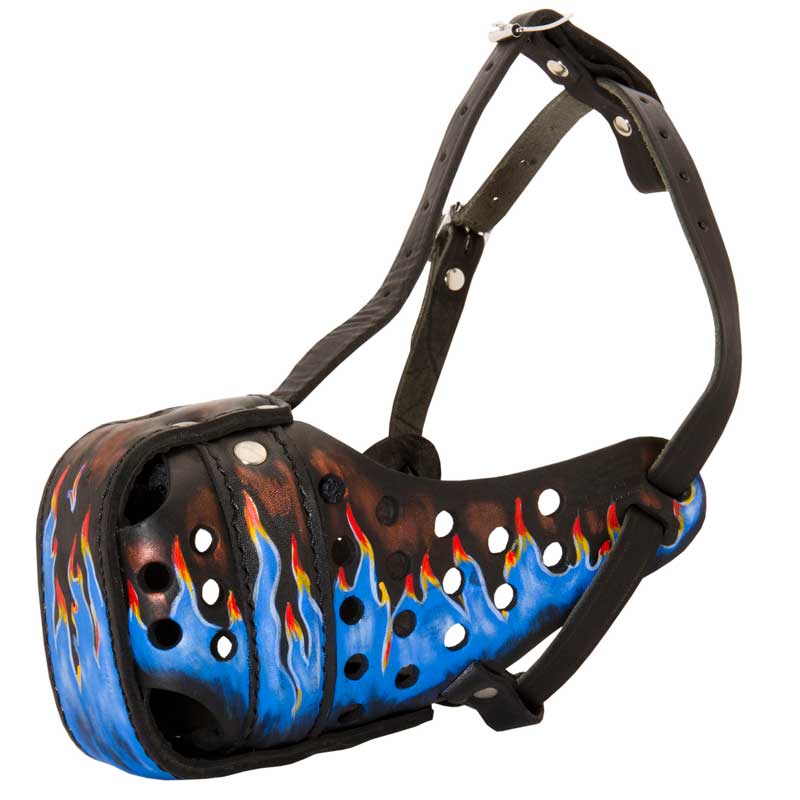 Ergonomic Design Leather Schutzhund Dog Muzzle for Agitation Training