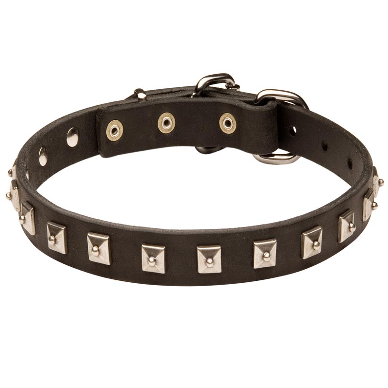 Schutzhund Dog Leather Collar Caterpillar Design