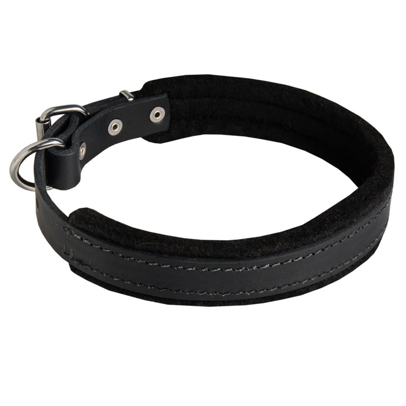 Padded Leather Schutzhund Dog Collar 25 mm for Dog Training