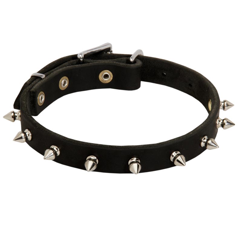 Schutzhund Dog Leather Collar Spiked 3/4 Inch