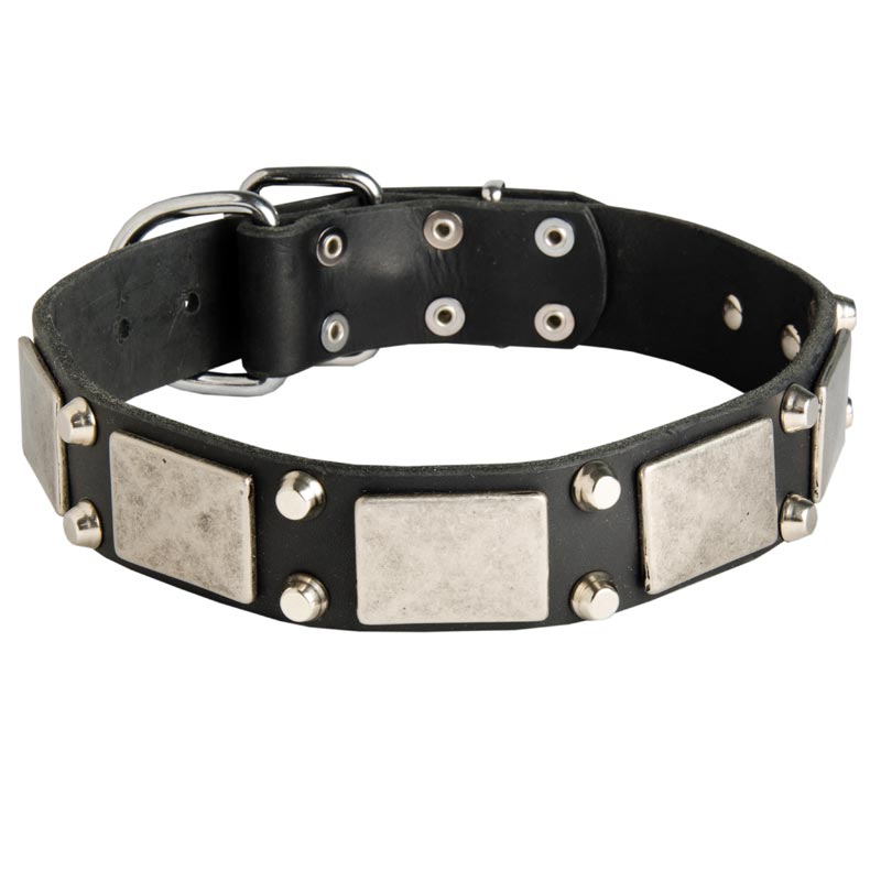 Leather Schutzhund Dog Collar Decorated with Nickel Cones and Plates