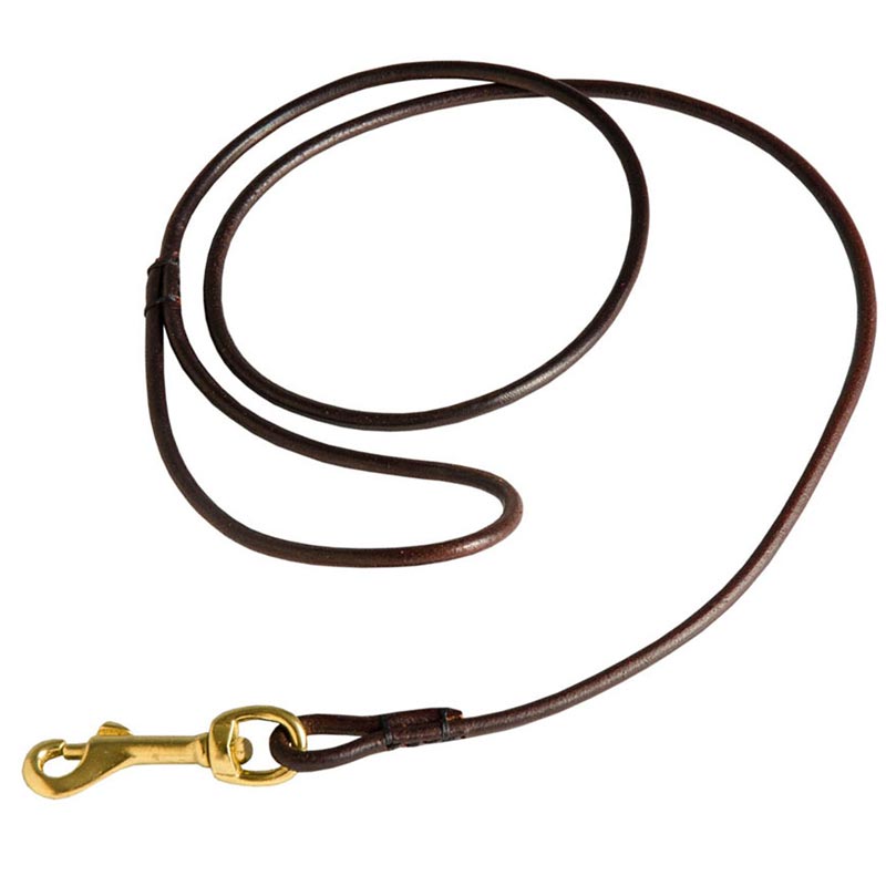 Fully Beneficial Show Leather Schutzhund Dog Leash - Comfort for You and Your Dog