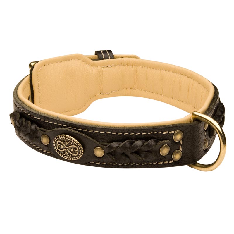 Schutzhund Dog Leather Collar Braided