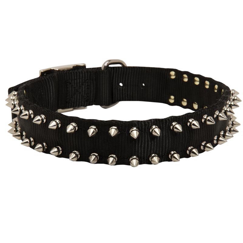 Spiked Nylon Schutzhund Dog Collar