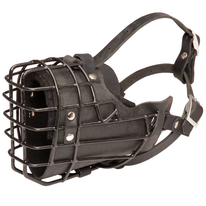 Unique Design Wire Schutzhund Dog Muzzle for Winter Activities