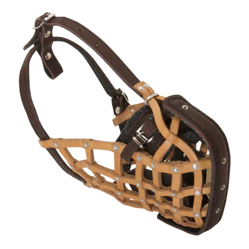 Basket-Like Schutzhund Dog Muzzle Leather