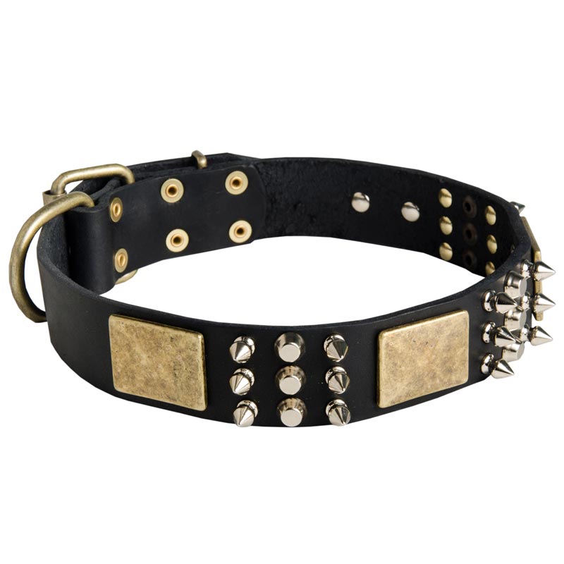 Spiked Leather Schutzhund Dog Collar with Plates and Cones