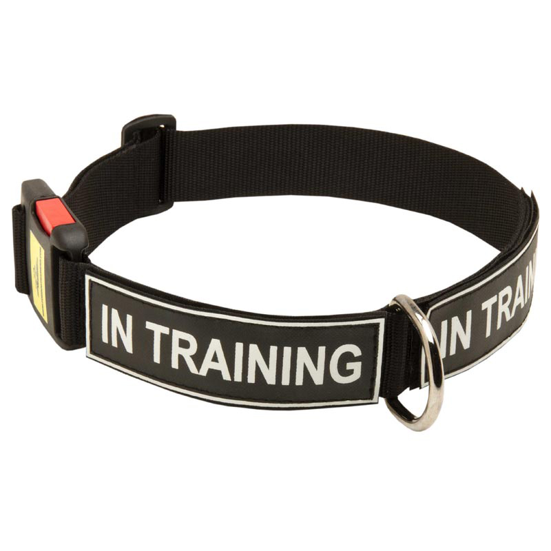 All Weather Nylon Schutzhund Dog Collar with ID Patches