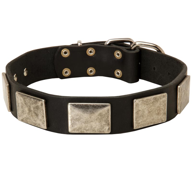 Leather Schutzhund Dog Collar with Large Nickel Plates