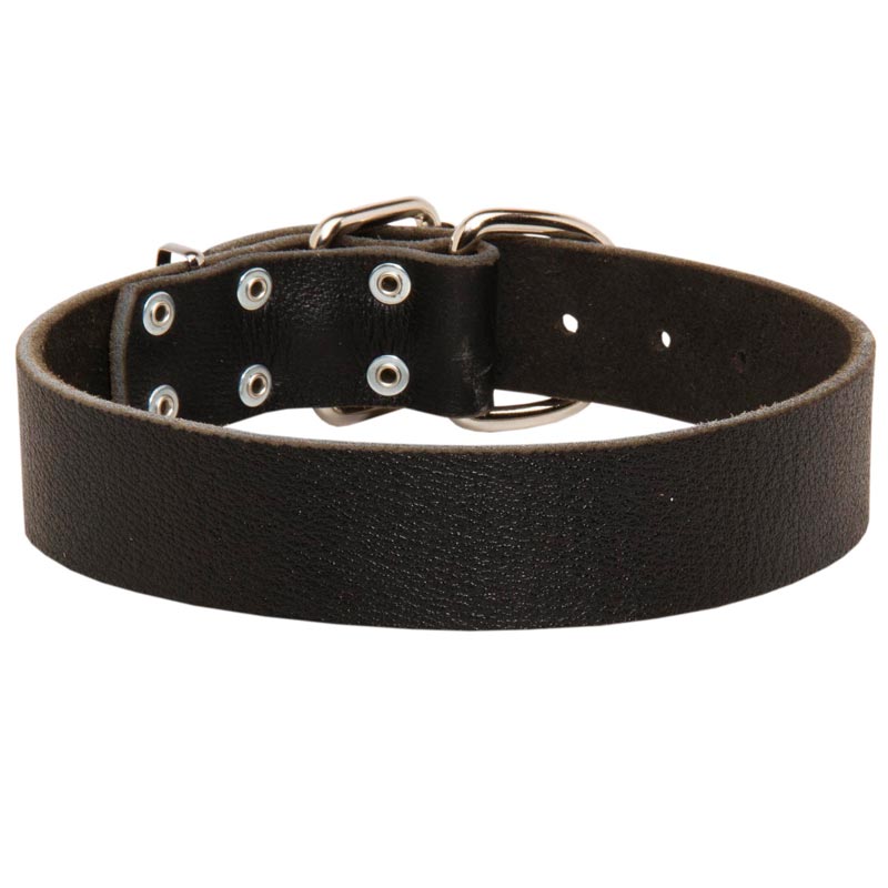 Wide Leather Schutzhund Dog Collar for Training and Walking