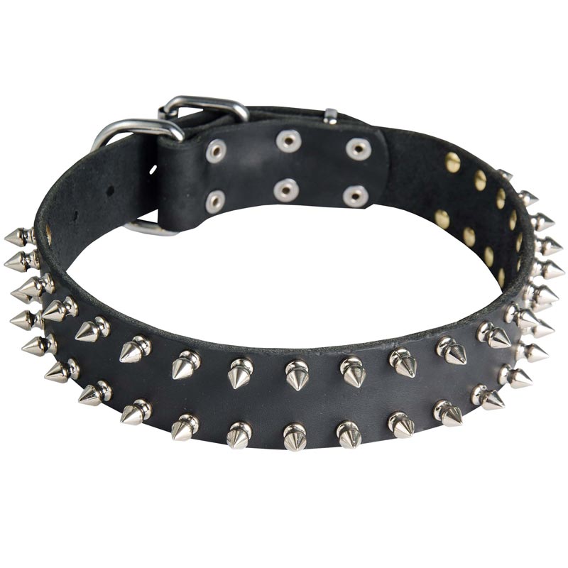 Leather Schutzhund Dog Collar with 2 Rows of Nickel Spikes