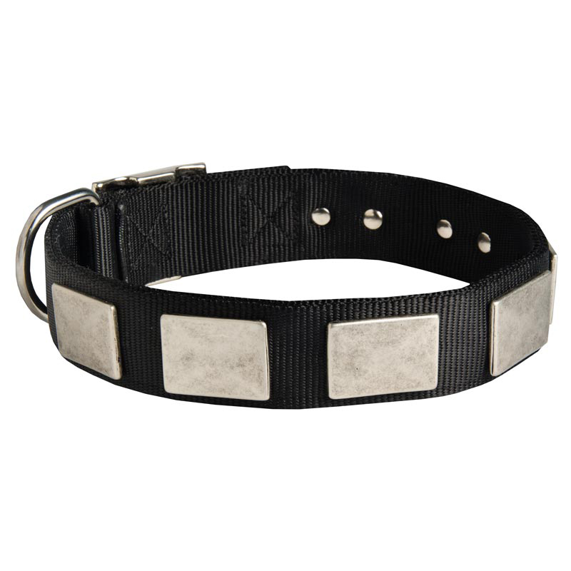 Nylon Schutzhund Dog Collar with Massive Nickel Plates
