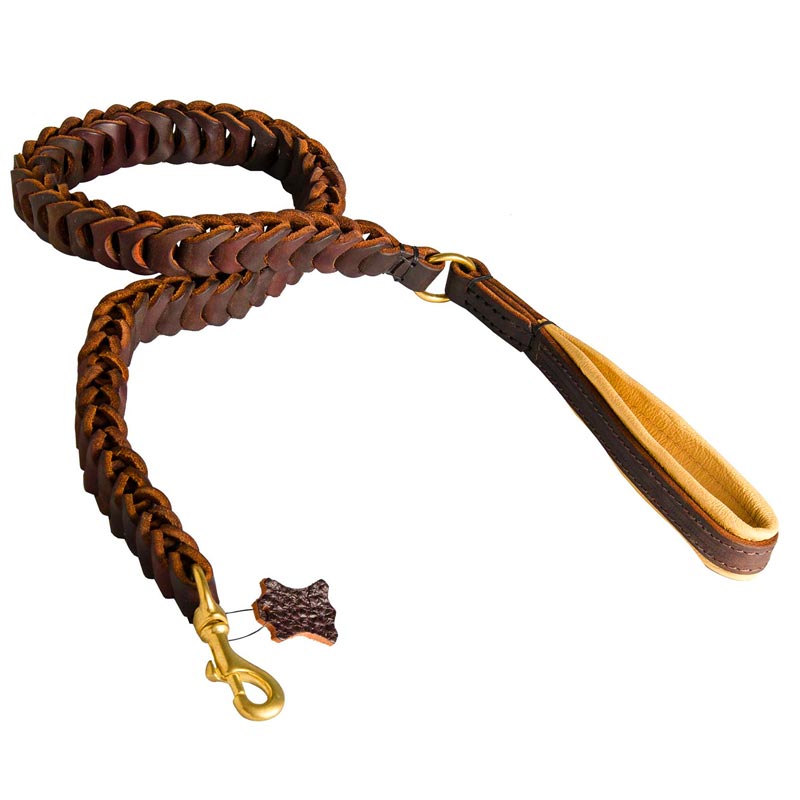 leather dog leash